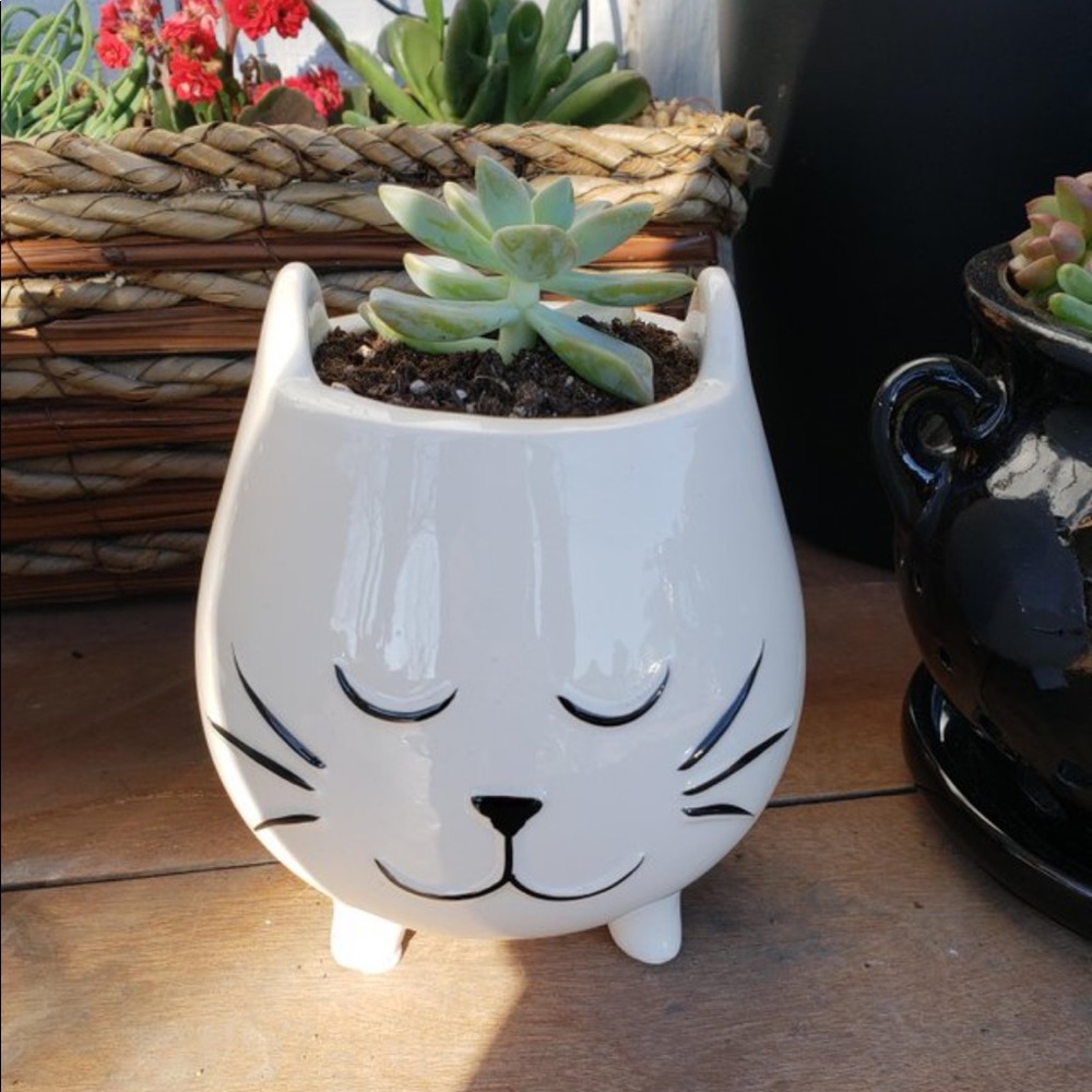 Meet your Posher, Maya